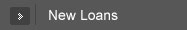 New Loans